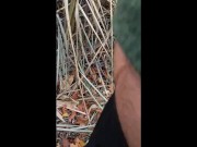 vlog #69 pissing porn