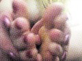 Carlycurvy up close feet and pussy play