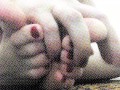 Carlycurvy up close feet and pussy play