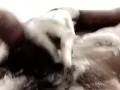 Soaped up