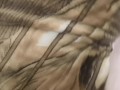 Подарок на новый год от мачехи Футджоб Feet