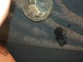 Fat Hairy Guy cums in glass and drink cum