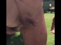 Prostate massage with unexpected dribbling handsfree precum