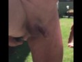 Prostate massage with unexpected dribbling handsfree precum