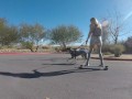 Fucking and Sucking in the sand dunes at the park