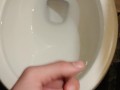 Cumming to my Anime book (Sin of Lewdness)
