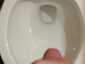 Cumming to my Anime book (Sin of Lewdness)