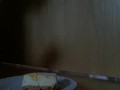 Kuchen essen für Herrin Mira