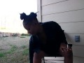 SweetButtTasty smoking and fingering herself in the backyard!!!!!