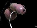 Amazing Hands free Electro ESTIM Orgasm Black background