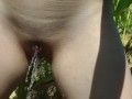 Standing and Peeing Beside a Cornfield in the Summer