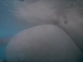 TITT S2 E1 TUBBS in MY new tubb