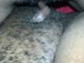 EBONY LESBIANS TRIBBING
