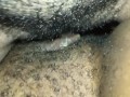 EBONY LESBIANS TRIBBING