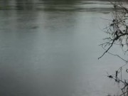 Public river access creampie quickie