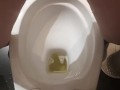 I can also pee standing like a guy