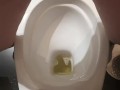 I can also pee standing like a guy