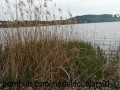 Mostra le tette in pubblico al lago davanti a tutti