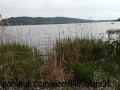 Mostra le tette in pubblico al lago davanti a tutti