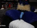 Pent up Lucario Jacks Off