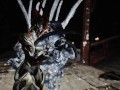 skyrim warframe monster fuck Ember porn