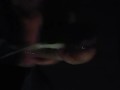 Dark masturbation with cumshot