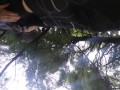 Memorial day in the park! Outside risky public hot tattooed guy w big dick!
