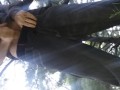 Memorial day in the park! Outside risky public hot tattooed guy w big dick!