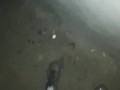 sneakers mud play in public