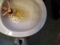BBB preview: Ava Vincent "PCPPPPP(PeeCumPeePeePeePeePee"(preview only)