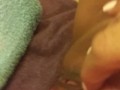 Pretty little tight pussy