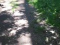 Outdoor pee desperation female POV, piss puddle