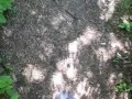 Outdoor pee desperation female POV, piss puddle