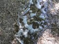 Outdoor pee desperation female POV, piss puddle