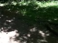 Outdoor pee desperation female POV, piss puddle