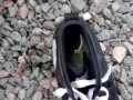 Pissing all over a shoe I found