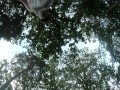 Silicondoll bereit im Park spazieren zu gehen