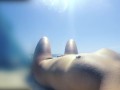 Exhibitionist girlfriend on public nude beach Strangers walking enjoyed me