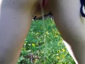 Beautiful Piss On A Sunny Day