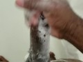 Soapy Dick Cummin'