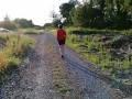 Mj se ballade en forêt