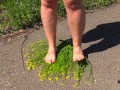 bare legs and hairy pussy outdoors