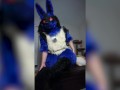 Stripping out of Lucario
