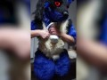 Stripping out of Lucario