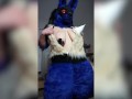 Stripping out of Lucario