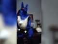 Stripping out of Lucario