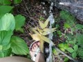 Girl In Swim Suit Pees On Fallen Tree By River