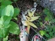 Girl In Swim Suit Pees On Fallen Tree By River