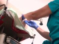 Alles für den Arsch: Doppelfisting, Tunnelplug und Klobürste - Preview
