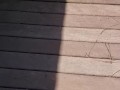 Country Girl Stands And Pees Off Deck Thru Fence